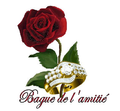 la plus jolie bague que je n'ai jamais eue!!