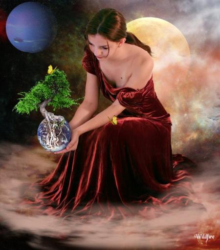 joli petit arbre ..bonzaiiiiiiiiiiiiiiiiii