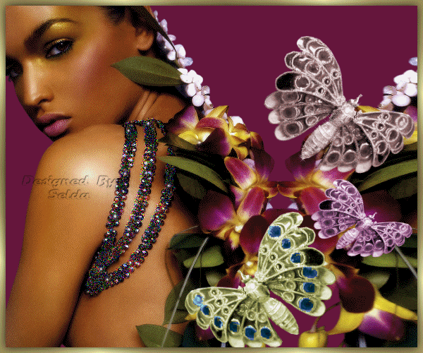 les petits papillons de ma nicole