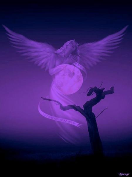 un ange dans le ciel