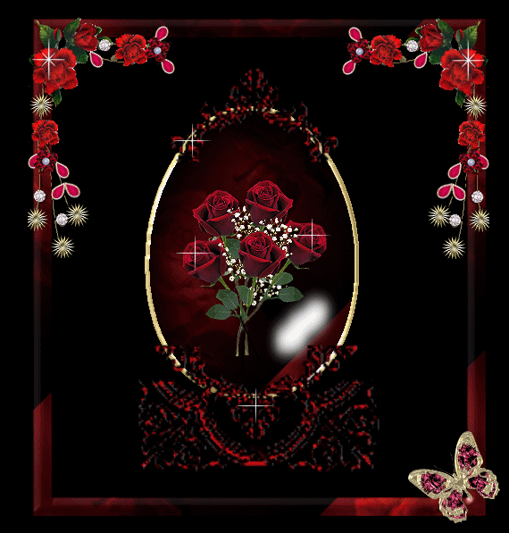 les roses de domie 
