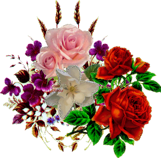 les fleurs par excellence.;.