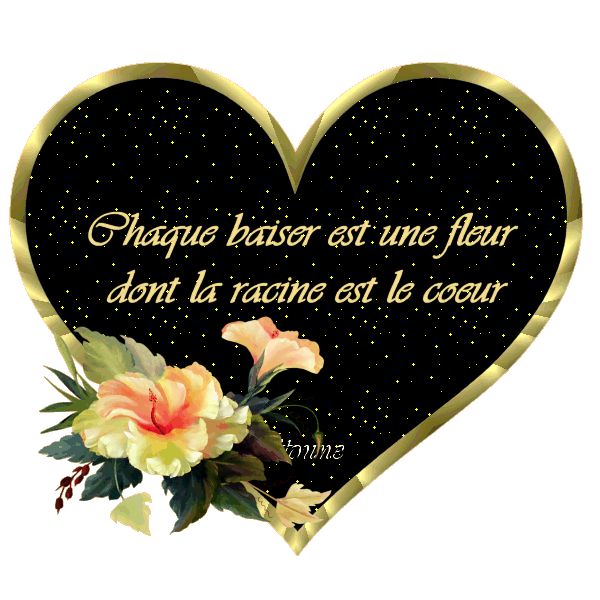 pour vous dire que je reviens apres noel !!